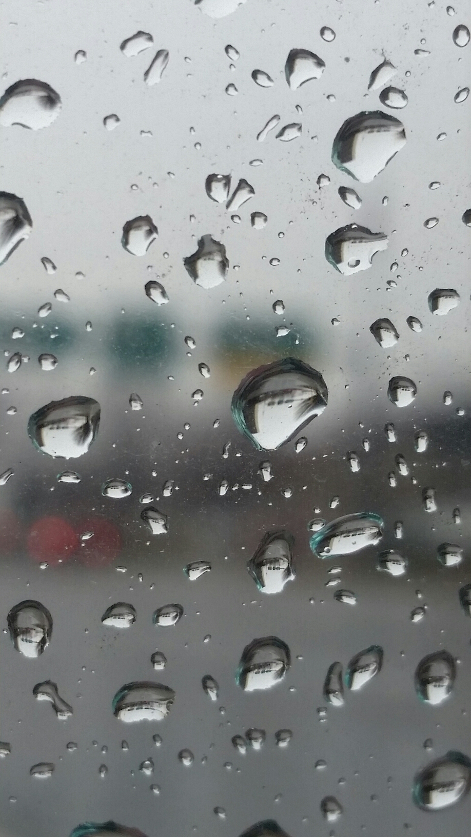 20160202_091545.jpg image